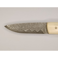 Couteau Pliant Liner Lock - Acier damas - Manche en Os de bovin et bois de cocobolo